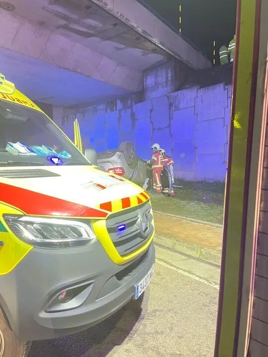 WhatsApp Image 2025-02-01 at 08.50.42