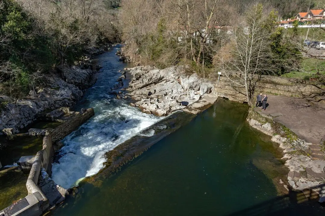 12:00 horas. Puente Viesgo 

El consejero de Fomento, Vivienda, Ordenaci&oacute;n del Territorio y Medio Ambiente, Roberto Media, inaugura obras realizadas por su departamento en Las Presillas.