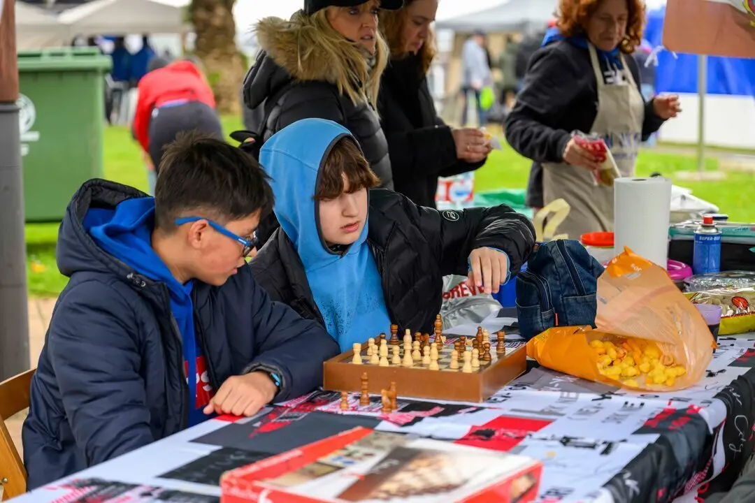 Ollas Astillero 25-18