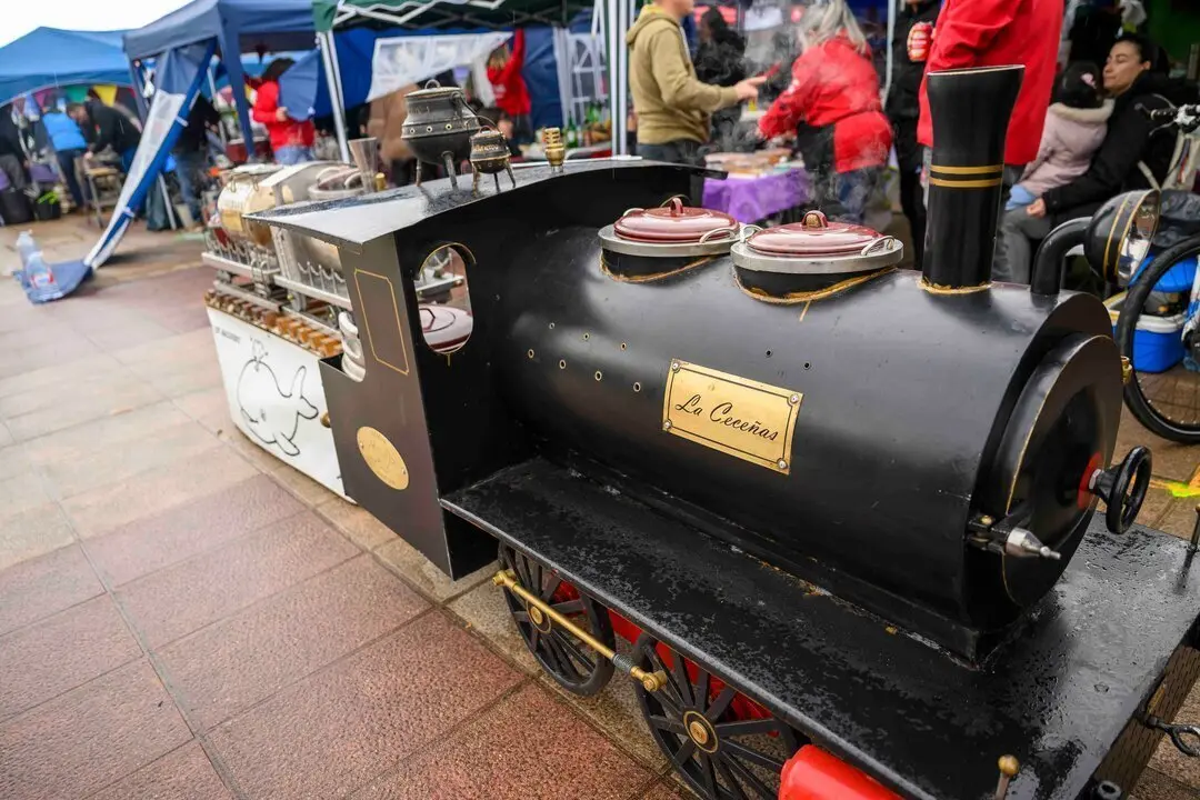 Ollas Astillero 25-25