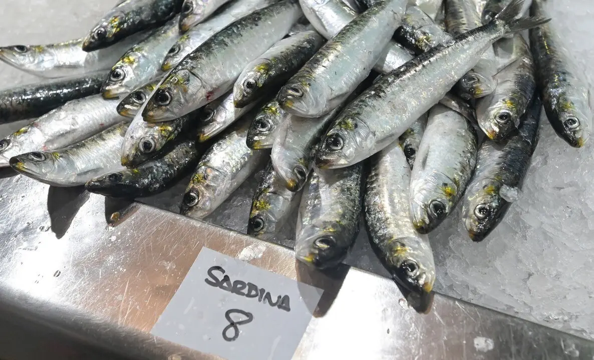 A CORU&Ntilde;A.
Sardinas a la venta mercado de la plaza de Lugo con motivo de la fiesta de San Juan
22/06/2023
Foto: M. Dylan/Europa Press