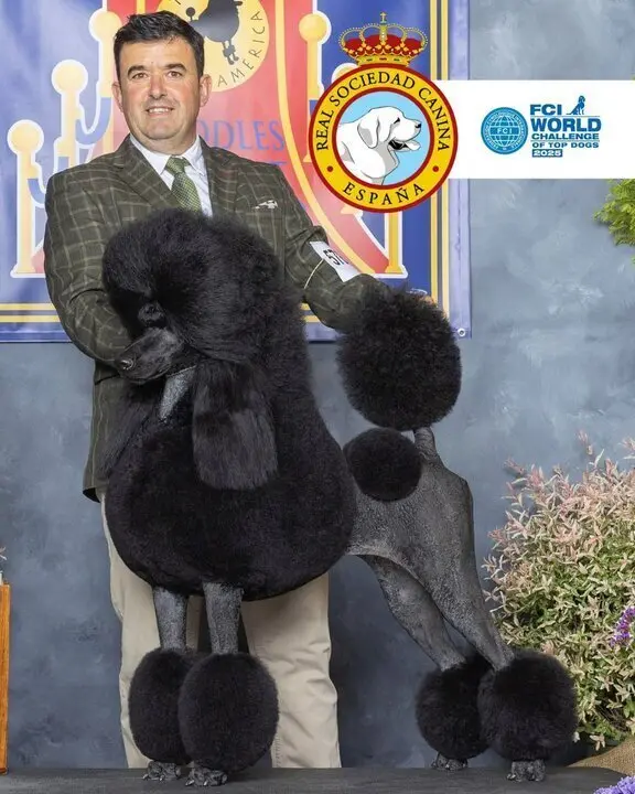 486132140_1078623887637379_4791744210856418799_n