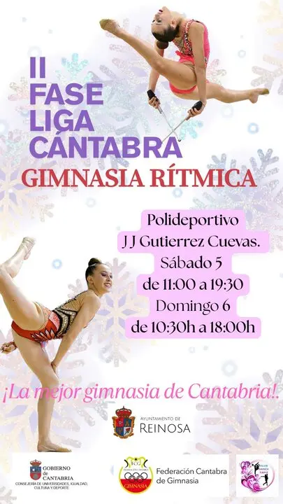 Liga Gomnasia R&iacute;tmica