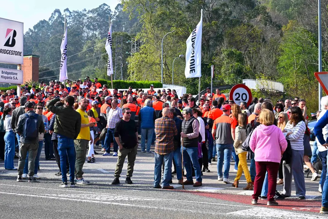 Manifestacion_planta-1