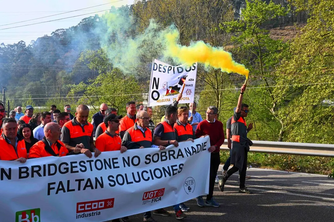 Manifestacion_planta-16