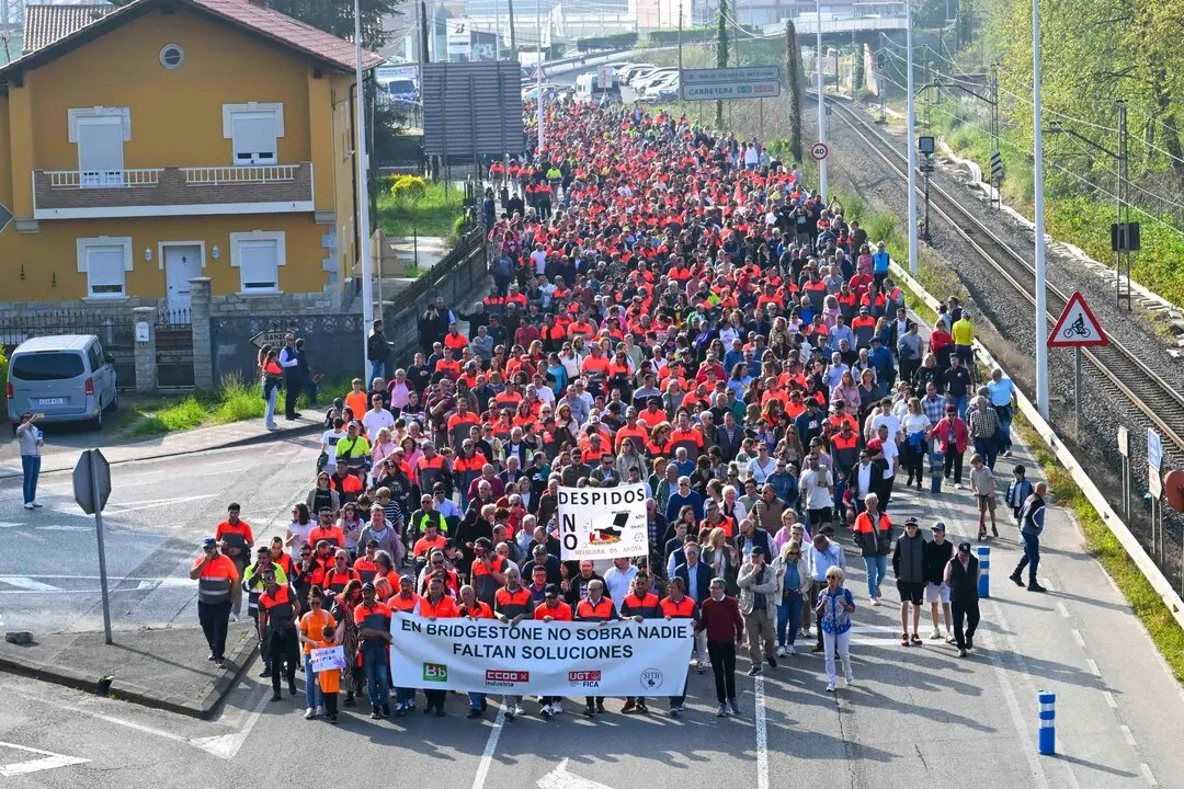 Manifestacion_planta-20