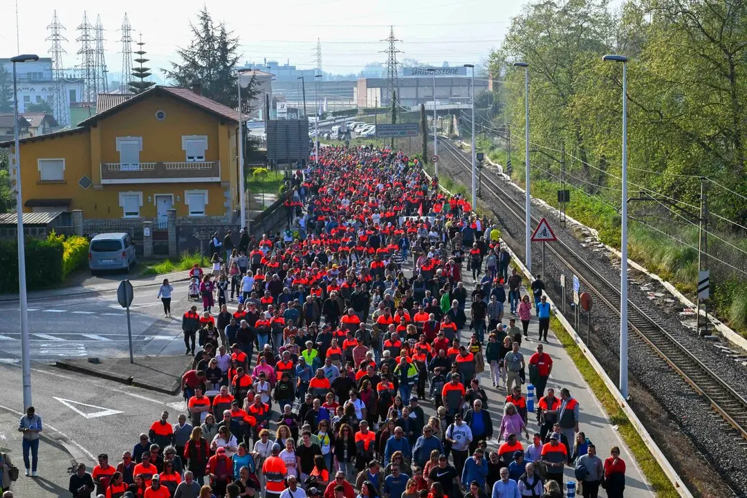 Manifestacion_planta-23