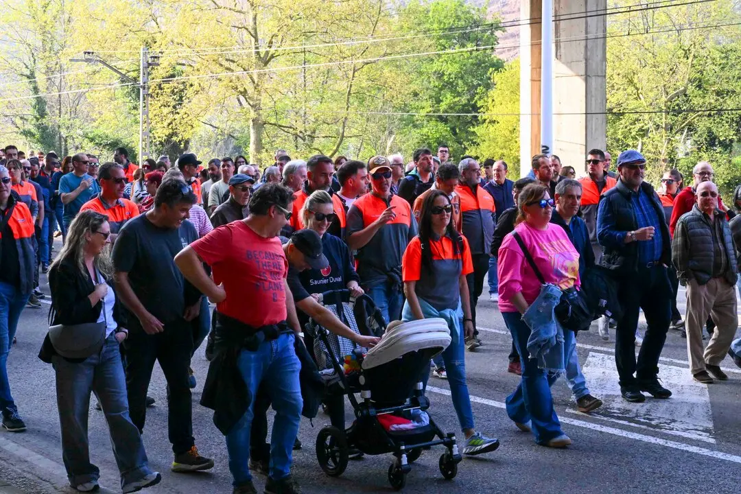 Manifestacion_planta-25