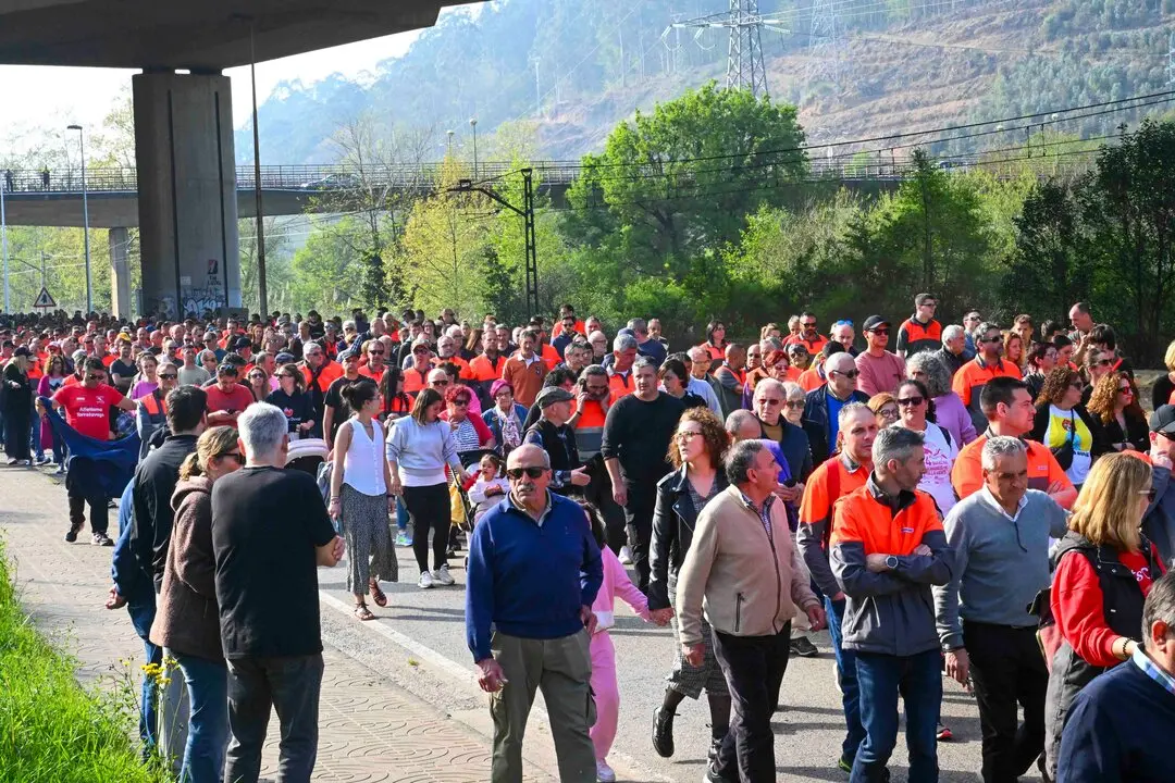 Manifestacion_planta-33