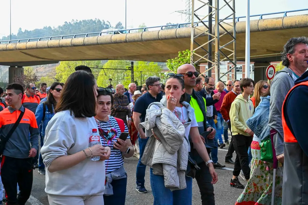 Manifestacion_planta-36