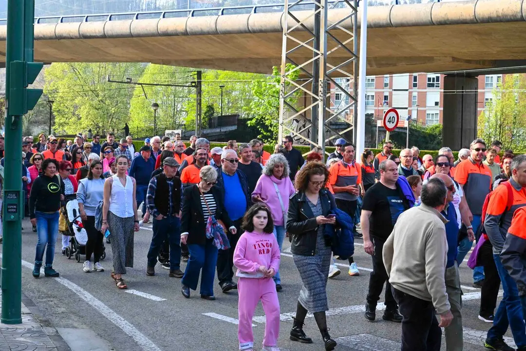 Manifestacion_planta-39