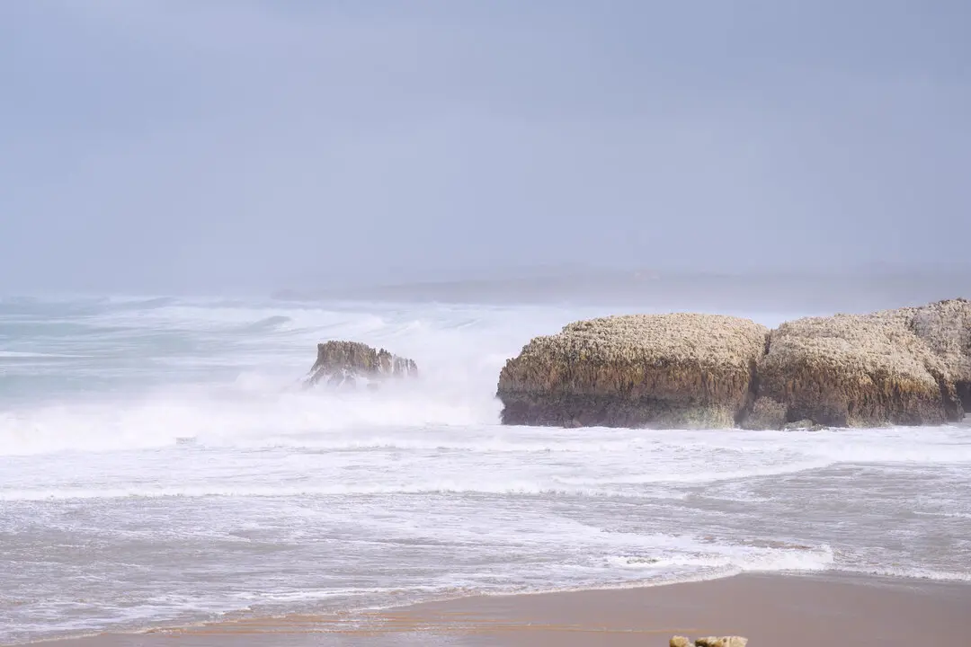 2/11/23  Santander
ep temporal olas 



FOTO: Juanma Serrano