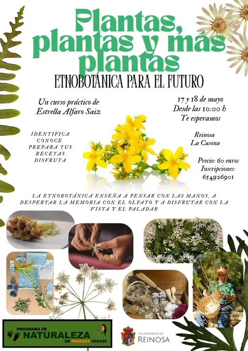 Plantas