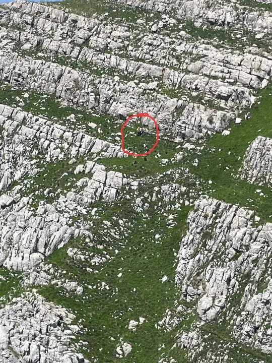 WhatsApp Image 2025-05-17 at 18.41.41