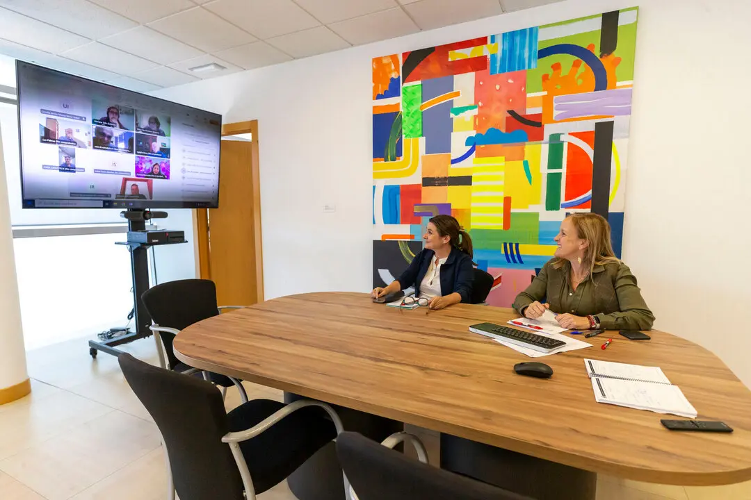 17:00 horas. Despacho de la consejera
La consejera de Presidencia, Justicia, Seguridad y Simplificaci&oacute;n Administrativa, Isabel Urrutia, se re&uacute;ne por videoconferencia con las Casas de Cantabria.
 23 MAYO 25 &copy; Miguel De la Parra