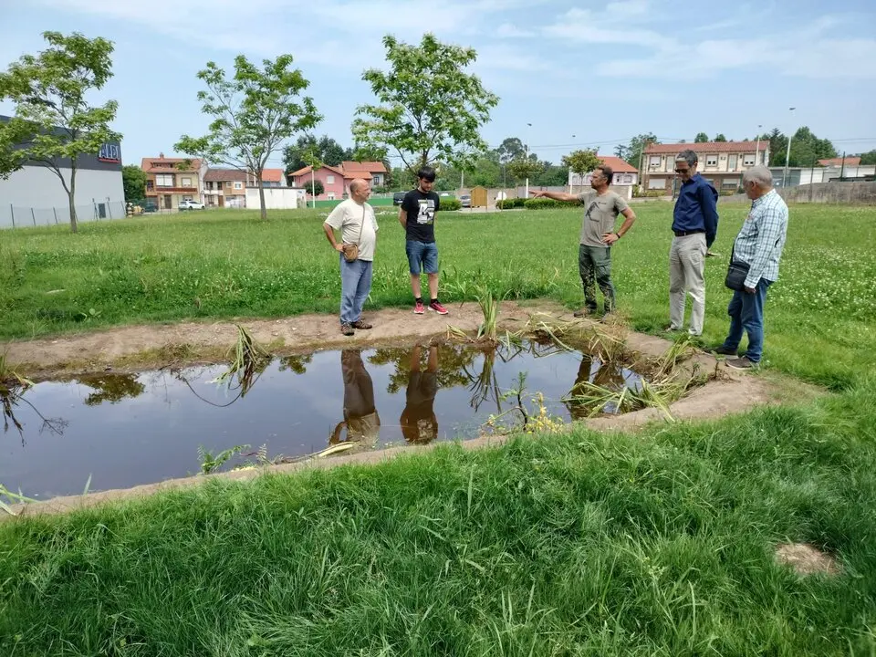 Torrelavega Conexi&oacute;n Natural
