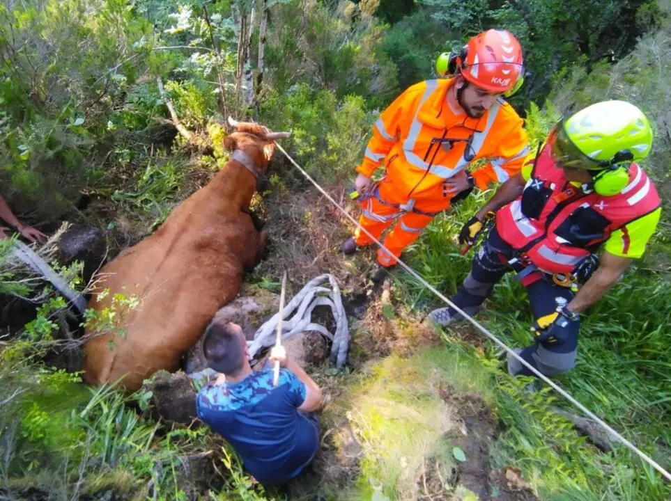 Captura de pantalla 2025-06-17 a las 20.25.52