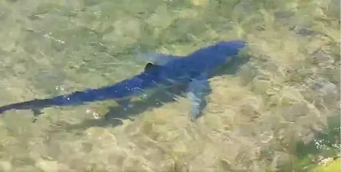 Captura de pantalla 2025-06-18 a las 20.45.08