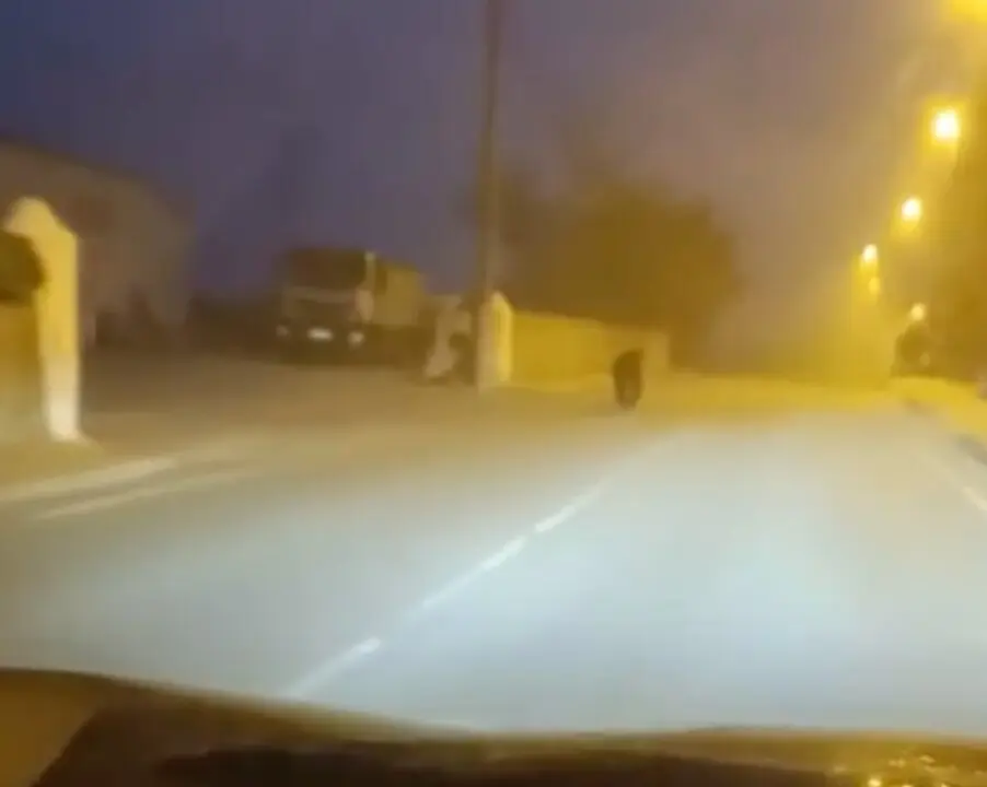 Captura de pantalla 2025-06-23 a las 9.41.28