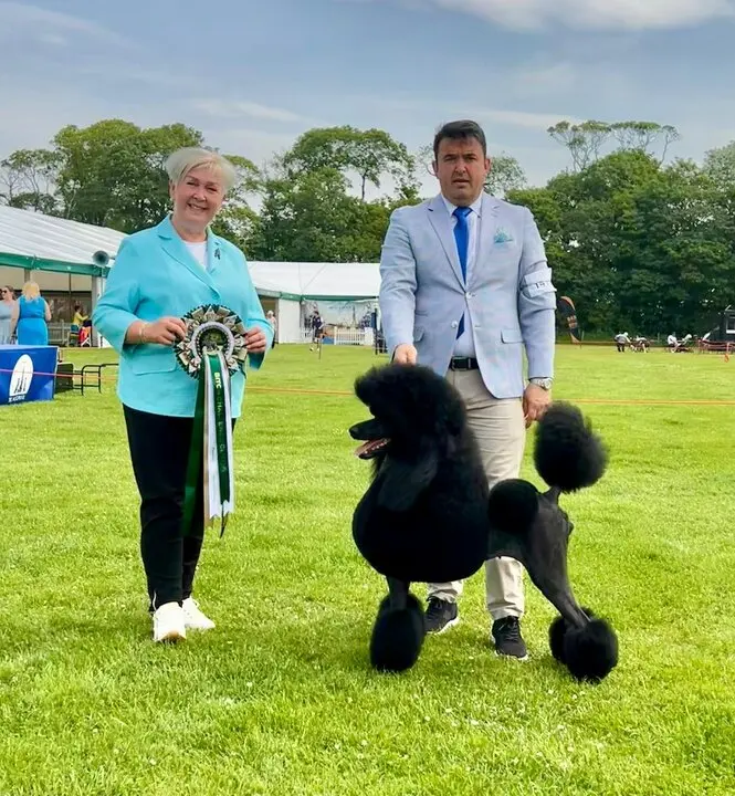 Imagen de WhatsApp 2025-06-23 a las 13.12.17_30ba8af4