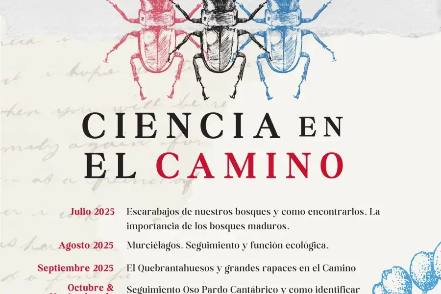 monochrome20simple20illustrated20biology20sea20shell20poster202