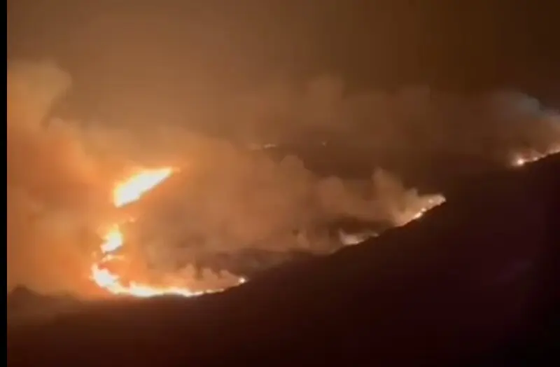 Captura de pantalla 2025-08-18 a las 0.06.47