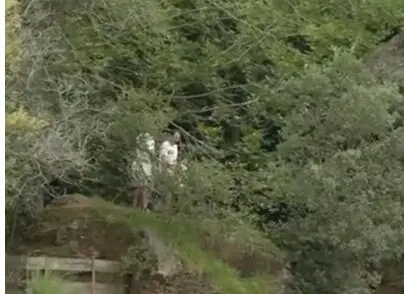 Captura de pantalla 2025-08-26 a las 17.22.27