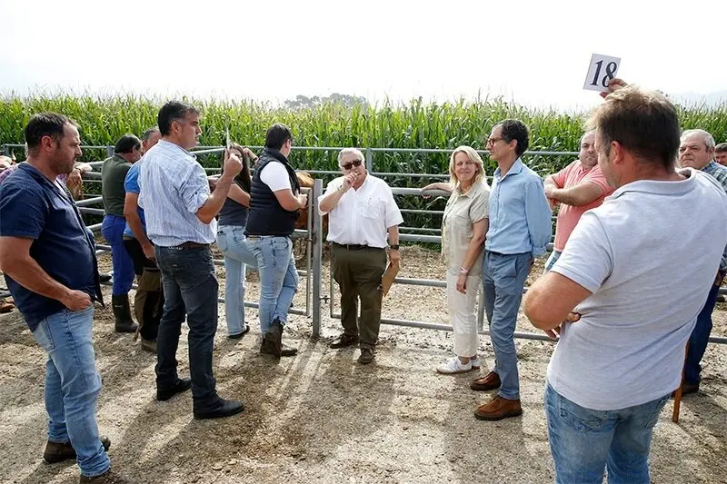 La consejera de Desarrollo Rural, Ganader&iacute;a, Pesca y Alimentaci&oacute;n, Mar&iacute;a Jes&uacute;s Susinos, asiste a la subasta de ganado de razas tudanca y monchina de ejemplares del Gobierno de Cantabria. 

18 sep 25