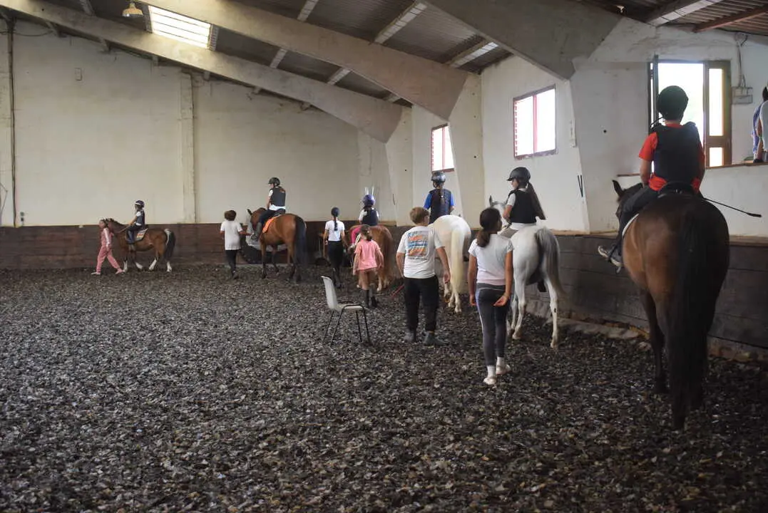 ARCHIVO CAMPUS EQUITACI&Oacute;N AYTO PIELAGOS CENTRO H&Iacute;PICO LOS ROBLES - VERANO 2025 (67)