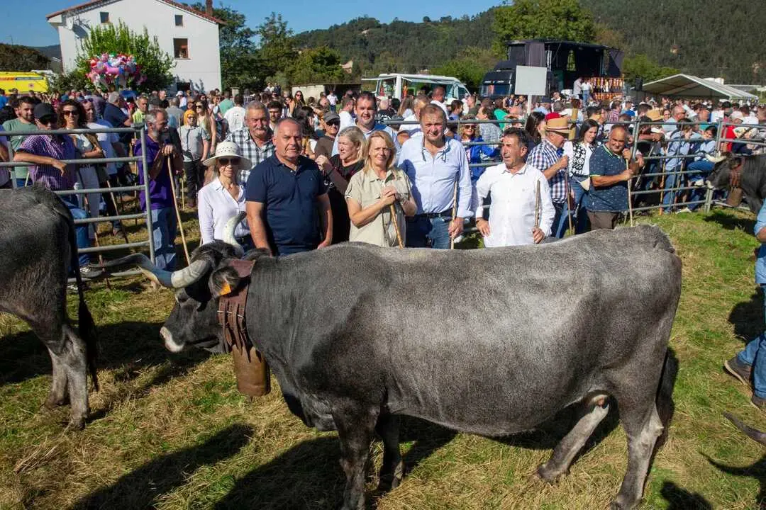 12:00 horas. Cabez&oacute;n de la Sal
La consejera de Desarrollo Rural, Ganader&iacute;a, Pesca y Alimentaci&oacute;n, Mar&iacute;a Jes&uacute;s
Susinos, asiste a la olimpiada del Tudanco.  12 OCT 25 &copy; Miguel De la Parra