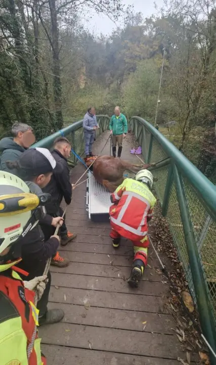 Captura de pantalla 2025-11-22 a las 19.49.31