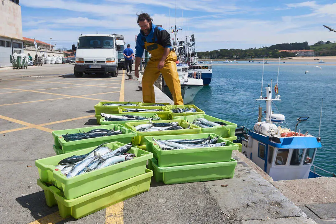 San Vicente de la Barquera (Cantabria)
25/04/2023

Photo: Cesar Ortiz Gonzalez

Buscan a un pescador de un barco gallego desaparecido al caer al mar en San Vicente de la Barquera