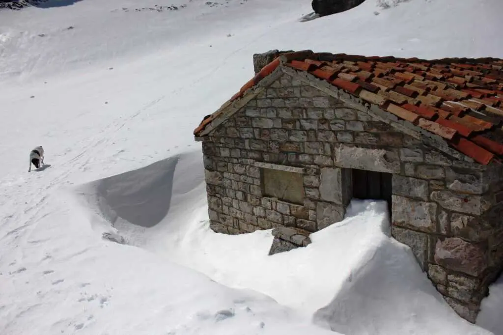 IMG_9420_resize-1024x682