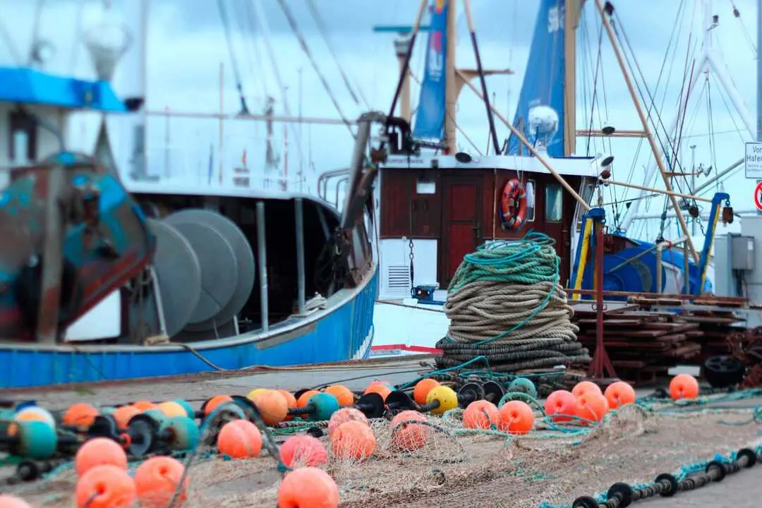 nets and ropes in the harbor of burgstaaken, fehmarn, germany