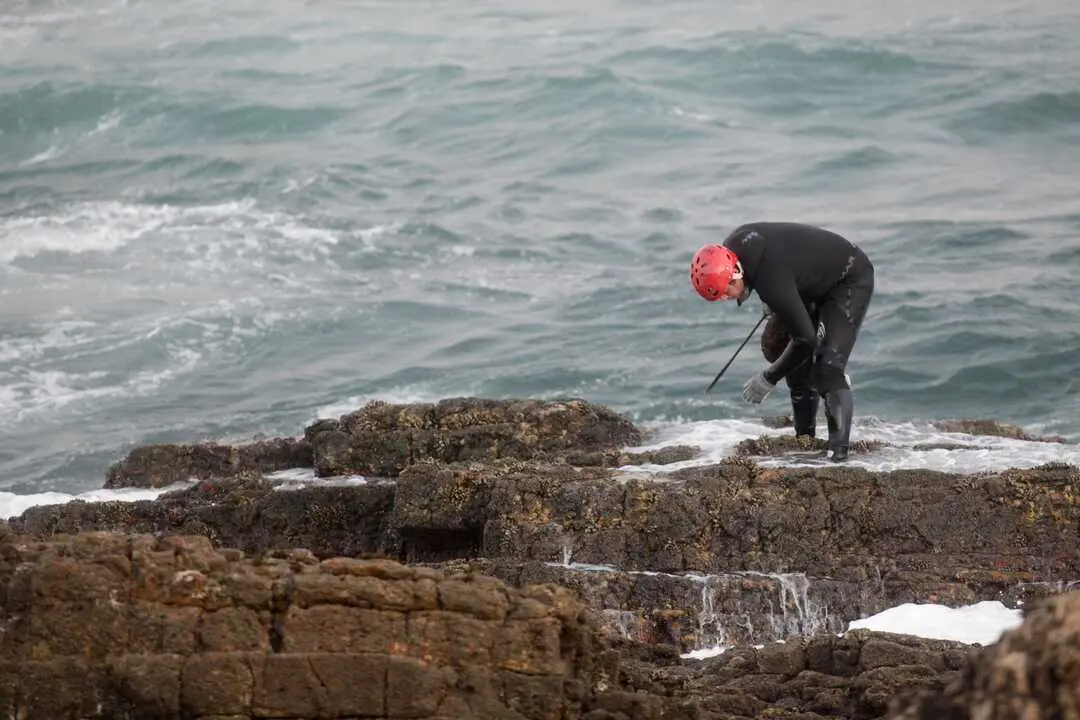 Rinlo, Ribadeo, Lugo. Un grupo de cuatro percebeiras (Cot&eacute; Fdez. del R&iacute;o, Luz Mar&iacute;a Mart&iacute;nez, Conchita Losada y Ver&oacute;nica Ra&ntilde;&oacute;n) y un percebeiro (Lucas Mat&iacute;as) pertenecientes a la Cofrad&iacute;a de mariscadores de Ribadeo, recogen percebes en una zona conocida como As Pudias. El percebe es el marisco m&aacute;s apreciado y cotizado en estos d&iacute;as de Navidad, y el precio por el grande supera con creces los 150&euro; por kilo. En la imagen, instante en la recogida de percebes en As Pudias en la ma&ntilde;ana del mi&eacute;rcoles 21 de diciembre