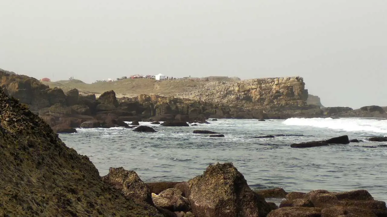 WhatsApp Image 2026-03-04 at 11.26.33