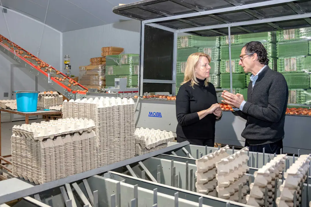 12:00 horas. San Felices de Buelna. https://maps.app.goo.gl/ZDEnHEA6poaw2vvQ6
La consejera de Desarrollo Rural, Ganader&iacute;a, Pesca y Alimentaci&oacute;n, Mar&iacute;a Jes&uacute;s Susinos, visita la granja de gallinas Portilla.