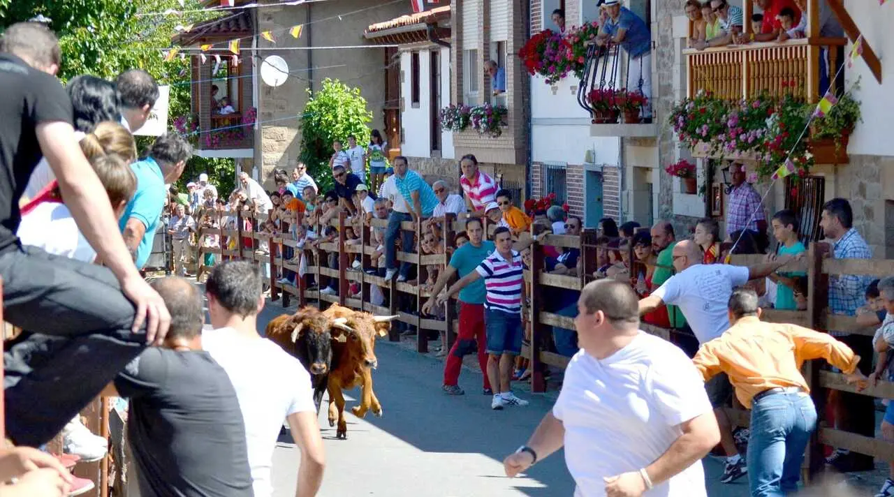 Industria. Encierro Pie de Concha. 23 AGOSTO 2018 &copy; Gabinete de Comunicaci&oacute;n