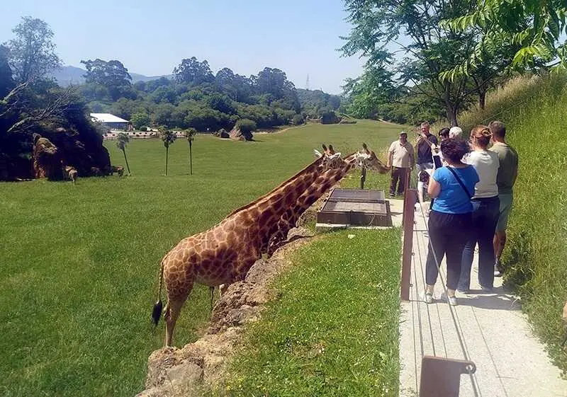 Fam Trip de mercado latinoamericano
28 may 26