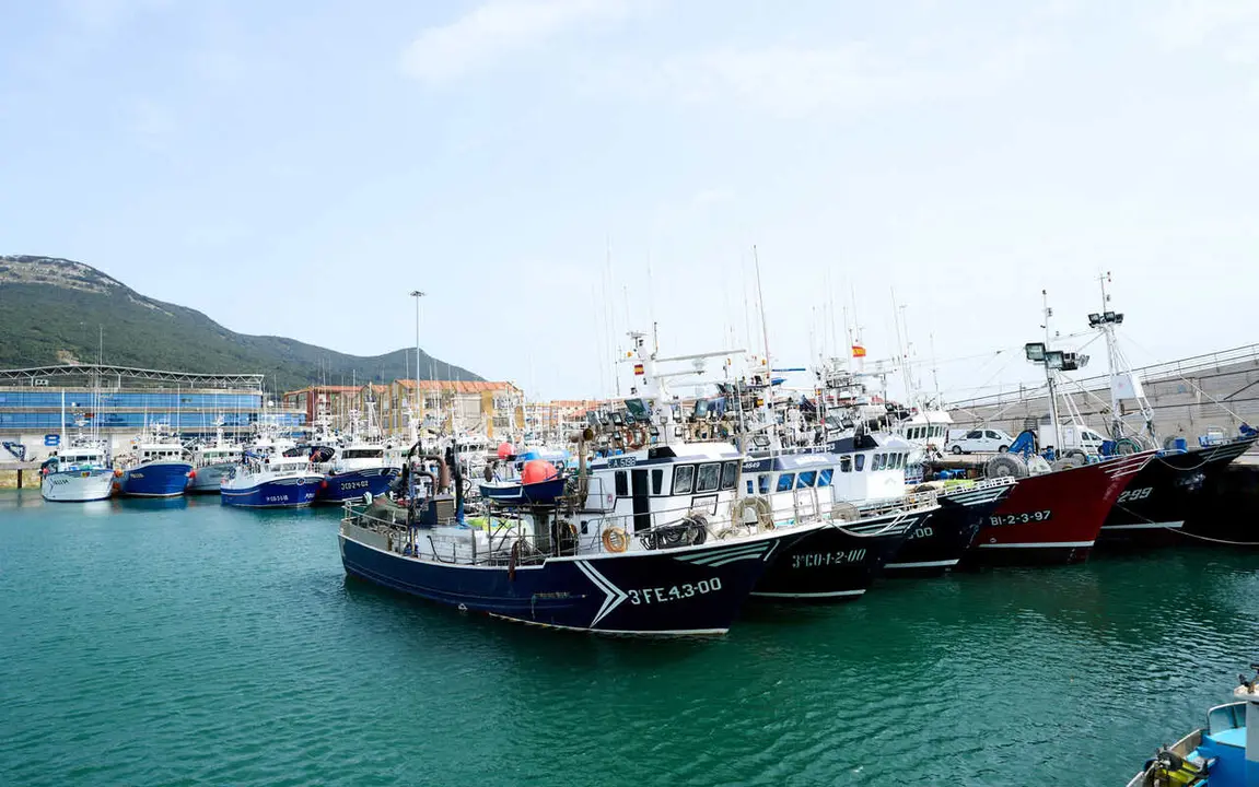 25/3/22  Santo&ntilde;a
EP Barcos pesqueros atracados 



FOTO: JUAN MANUEL SERRANO ARCE