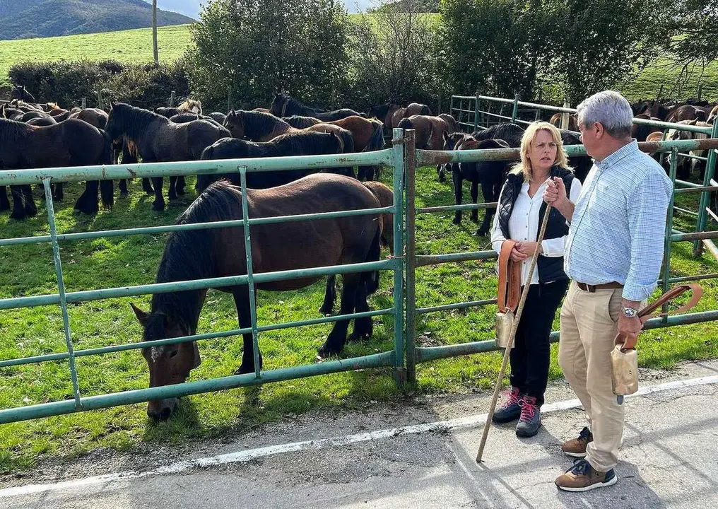 El Bolet&iacute;n Oficial de Cantabria (BOC) ha publicado hoy la orden de la Consejer&iacute;a de Desarrollo Rural, Ganader&iacute;a, Pesca y Alimentaci&oacute;n, por la que se regulan las medidas de prevenci&oacute;n y control frente a la Dermatosis Nodular Contagiosa (DNC) s&oacute;lo para los animales de especie bovina.