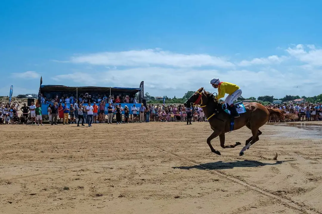 12:30 horas. Playa de Loredo. La consejera de Desarrollo Rural, Ganader&iacute;a, Pesca y Alimentaci&oacute;n, Mar&iacute;a Jes&uacute;s Susinos, asiste al LXIX Derby Internacional de Loredo. 2 de agosto de 2026 &copy; Ra&uacute;l Lucio