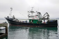 Pesca Pescadores Puerto Santo&ntilde;a Redes Pesquero Lonja Barco