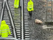 0c954f8c-f944-4d37-aeb1-bfc6b2ef0c1b