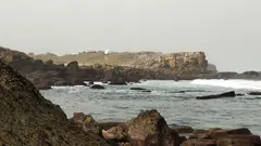 WhatsApp Image 2026-03-04 at 11.26.33