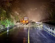 WhatsApp Image 2026-03-06 at 22.08.12