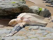 653362196_859728487125138_4155774338123609059_n