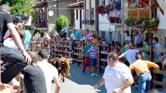 Industria. Encierro Pie de Concha. 23 AGOSTO 2018 &copy; Gabinete de Comunicaci&oacute;n