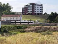 IMG_6329