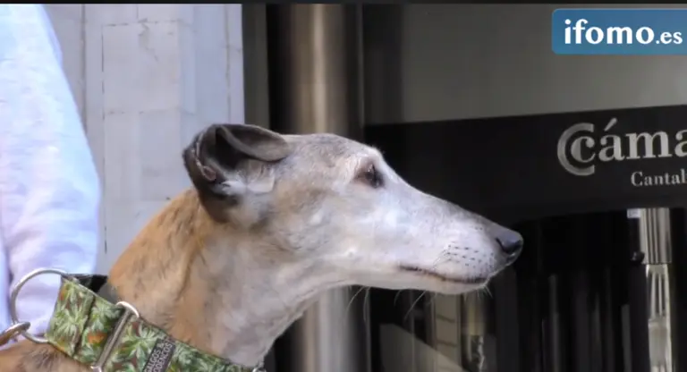 Captura de pantalla 2020-02-02 a las 17.36.58